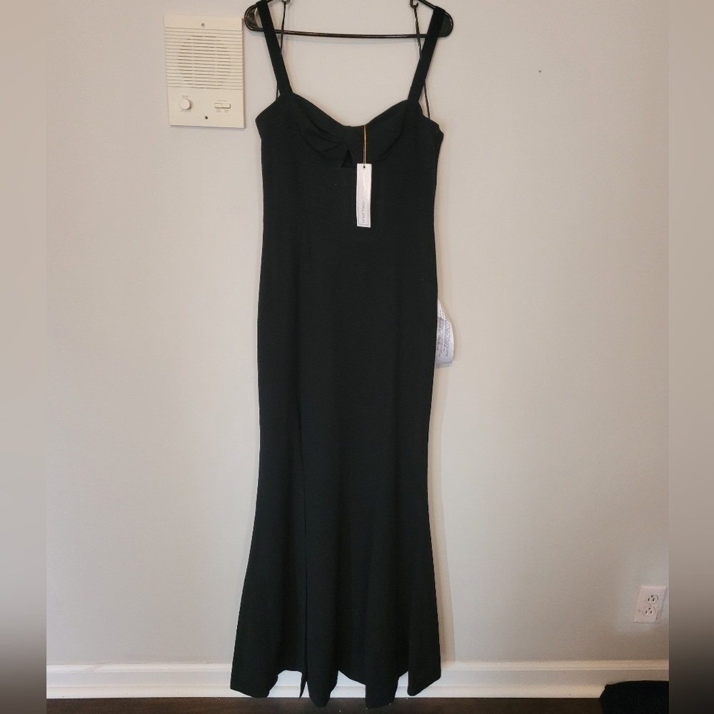 NWT Dress the population maxi mermaid gown